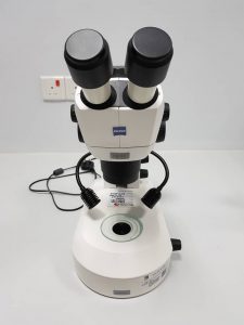 stereomicroscope