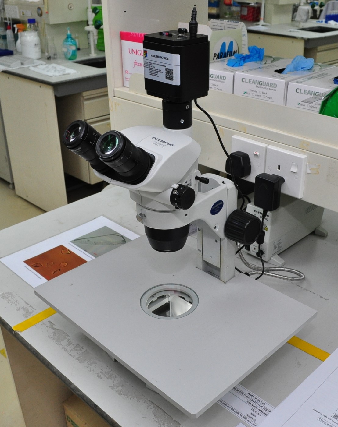 Proteomics Lab | Institut Biologi Sistem