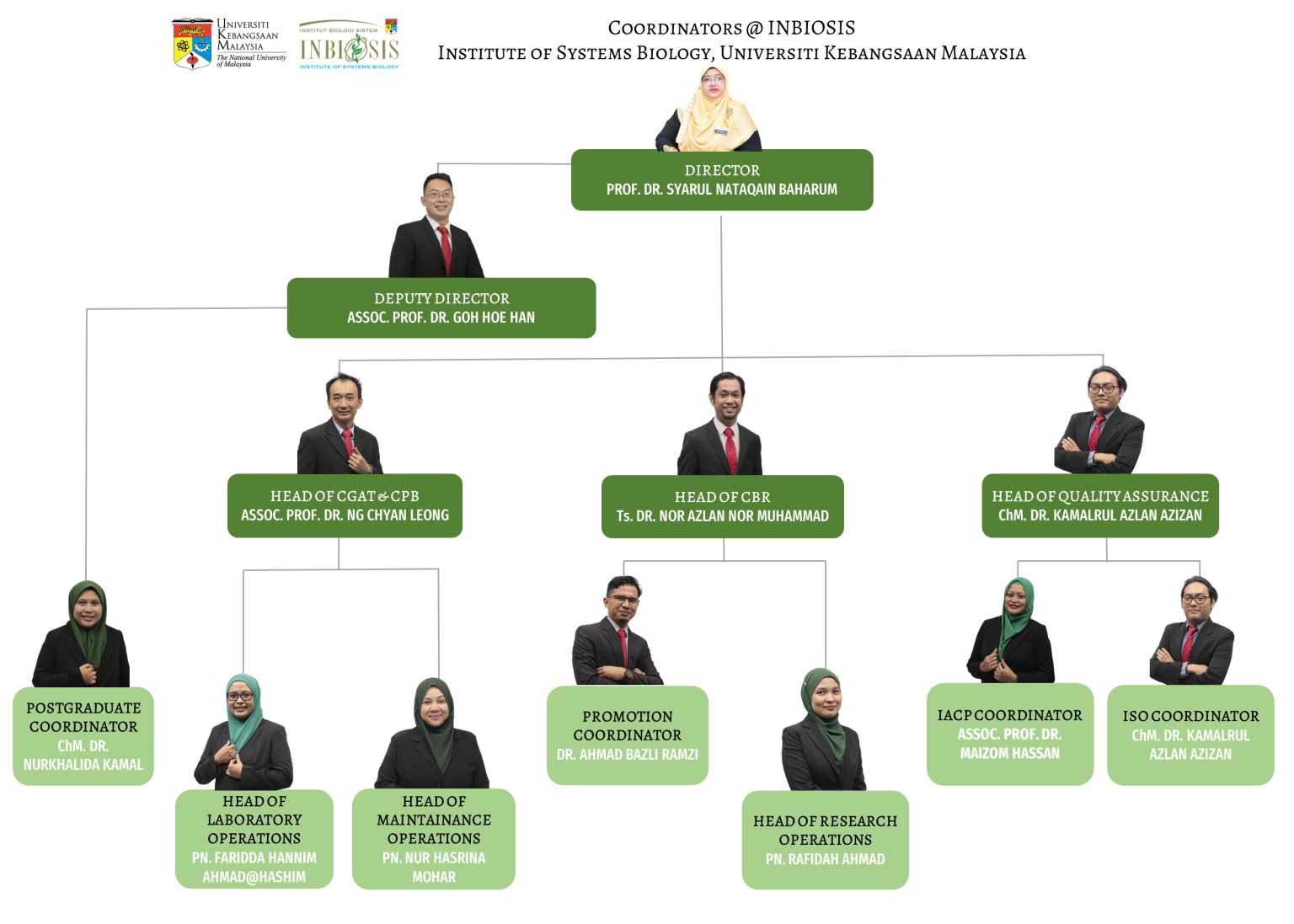 Organizational Chart | Institut Biologi Sistem