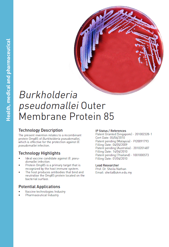 11_156_Burkholderia pseudomallei Outer Membrane Protein 85