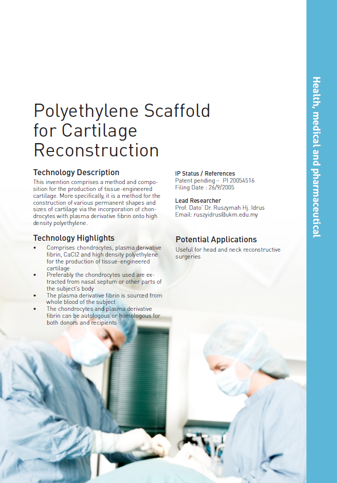 11_167_Polyethylene Scaffold for Cartilage Reconstruction