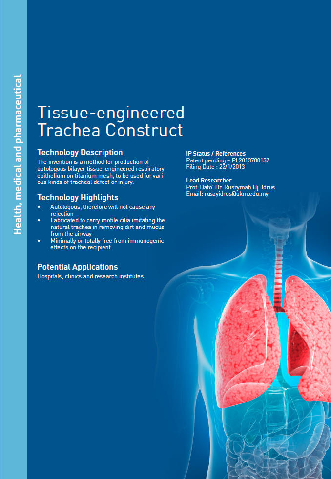 11_172_Tissue-engineered Trachea Construct