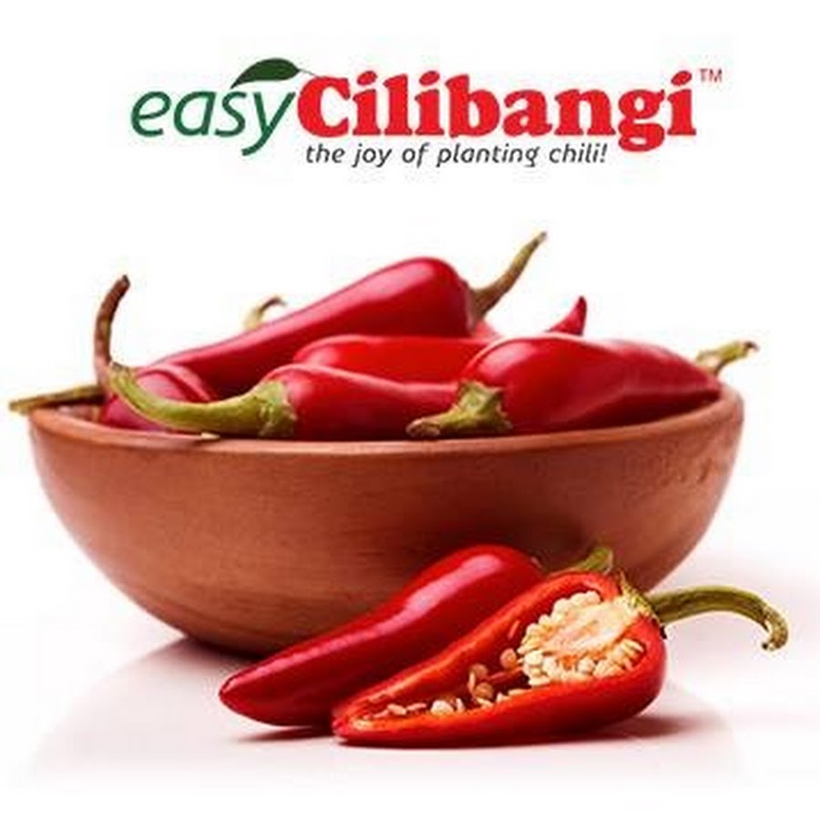 cilibangi 1