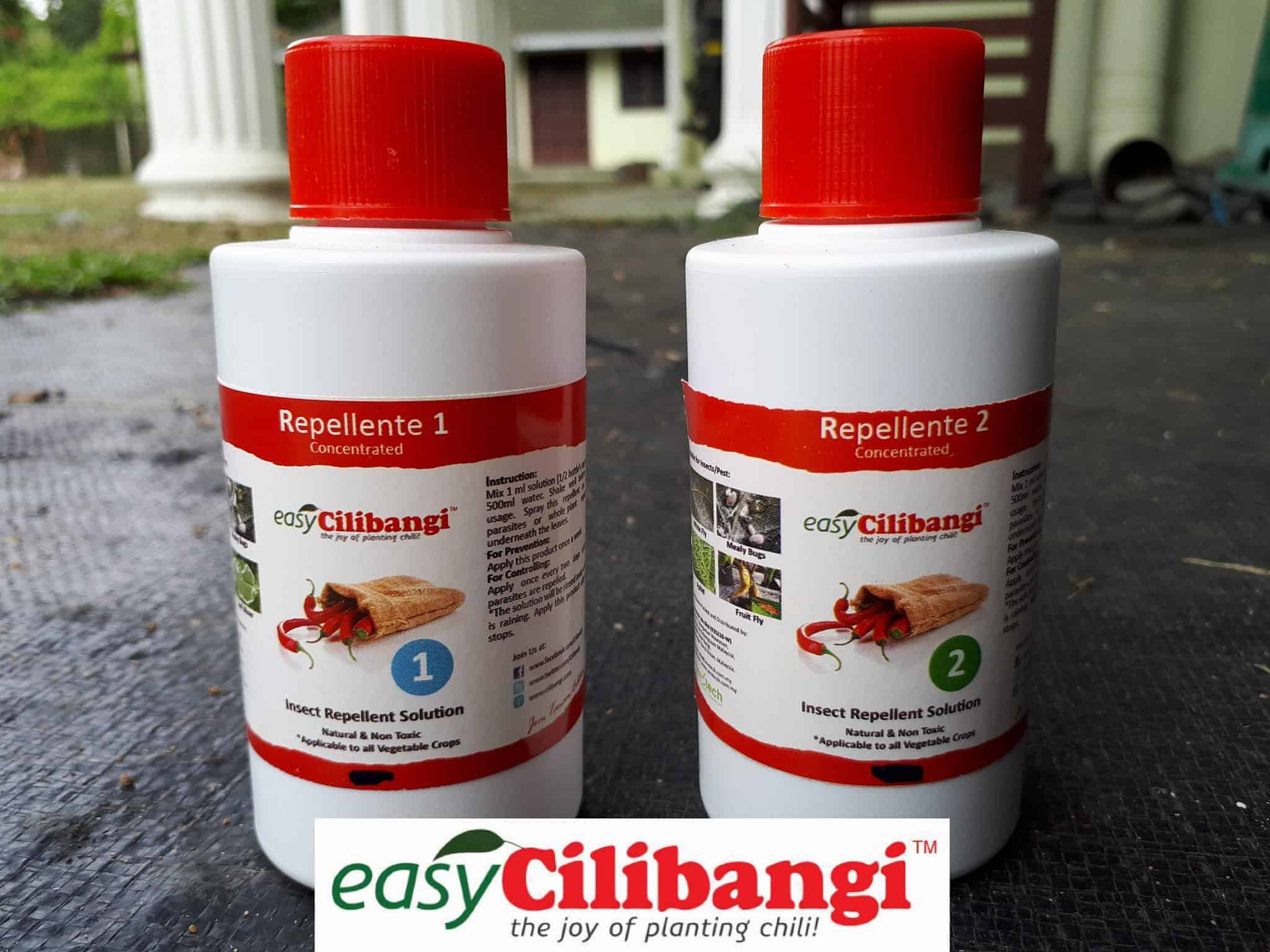 cilibangi 6