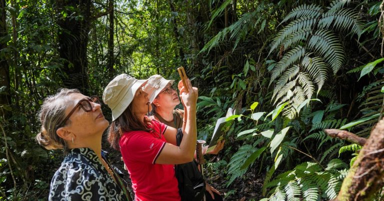 Flora Hunt Records Over 1000 Fraser Hill Native Plants