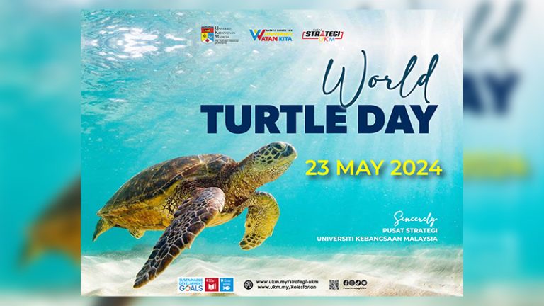 Happy World Turtle Day 2024