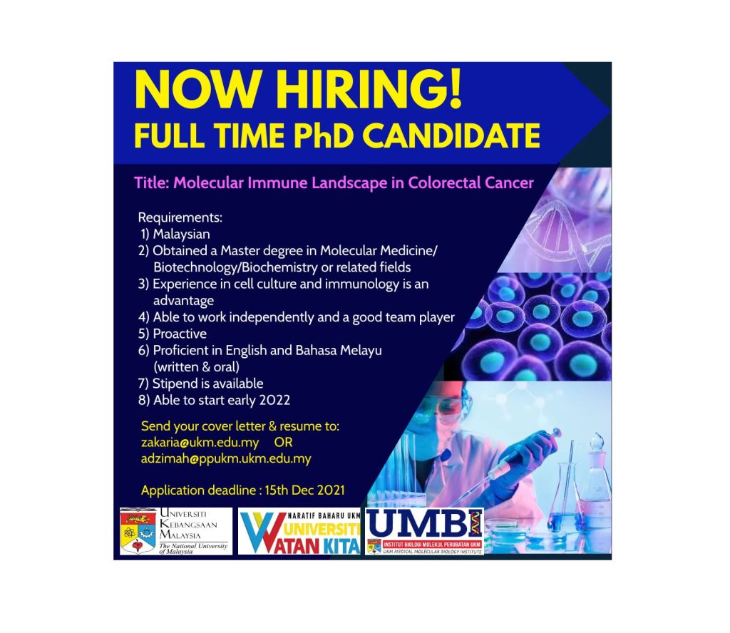 part time phd with full time job