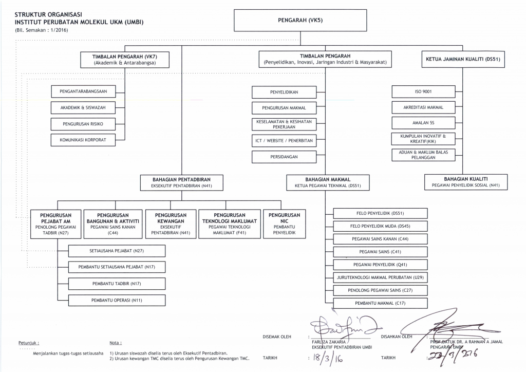 Struktur Organisasi Umbi 1024x724 Png